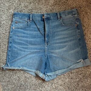 American Eagle Outfitters Light Blue Jean Shorts